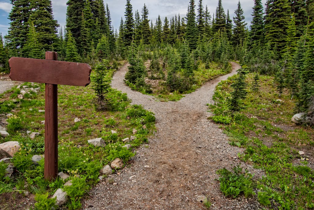 chemin de montagne